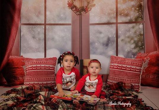 Window Christmas Photography Backdrops for Picture