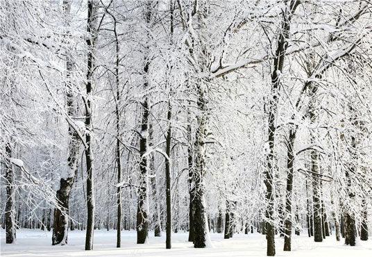 White Snow Winter Backdrop for Photography