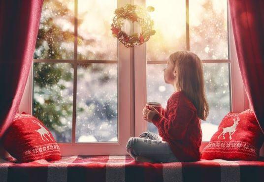 Window Christmas Photography Backdrops for Picture