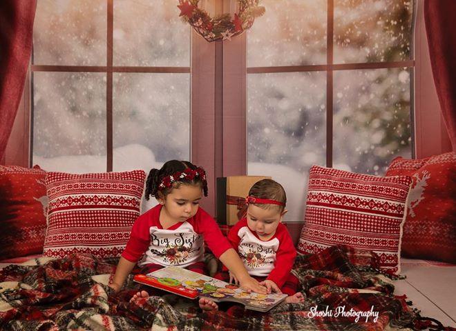 Window Christmas Photography Backdrops for Picture