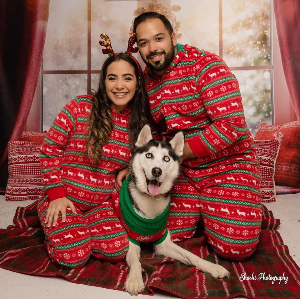 Window Christmas Photography Backdrops for Picture