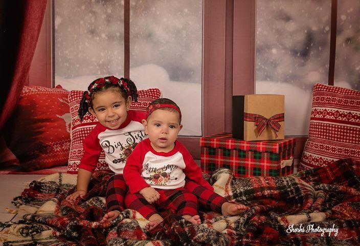 Window Christmas Photography Backdrops for Picture