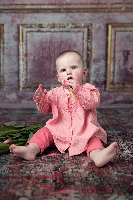 Pink Classic Wall Old Gold Stucco Backdrop for Photo SBH0637