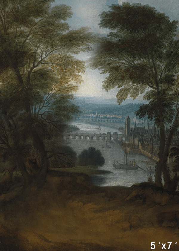 A Mountainous River Landscape Fabric Backdrop for Photo SBH0706