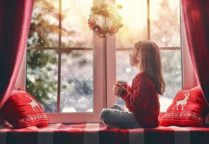 Window Christmas Photography Backdrops for Picture
