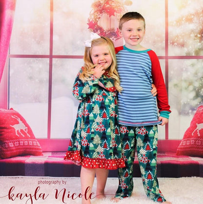 Window Christmas Photography Backdrops for Picture