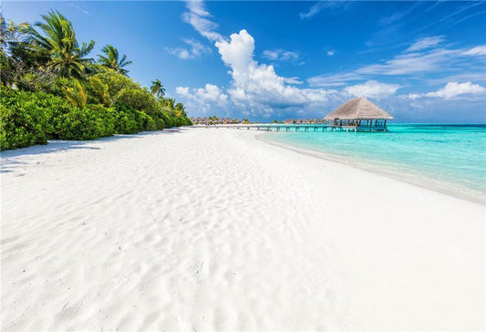 Blue Sky Sandy Beach Photo Backdrops