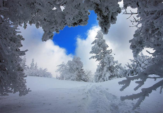 Snow Tree Backdrop For Photography Winter Background