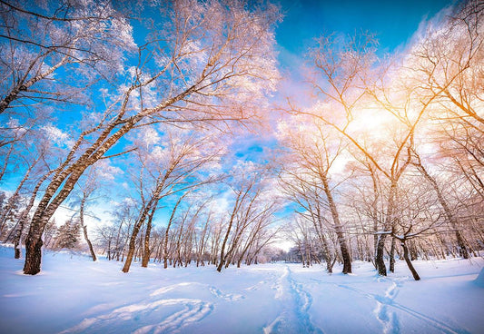 White Winter Snow Cover Photo Backdrop for Photographer
