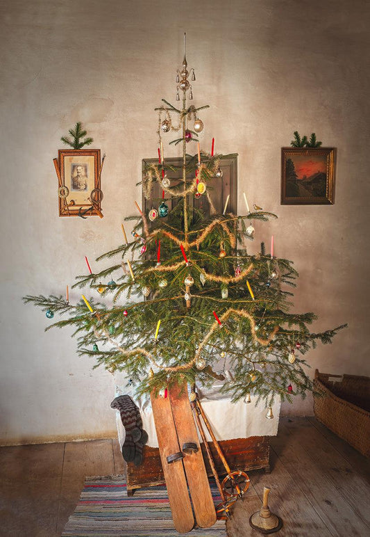 Ski Wood Floor Christmas Tree Backdrop for Photography