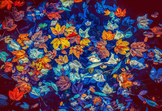 Colorful Leaves Fall Photo Studio Backdrops