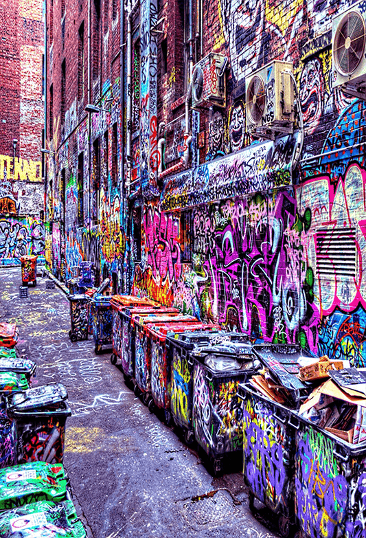 Urban Street Art Graffiti Backdrop for Photoshoot SBH0453
